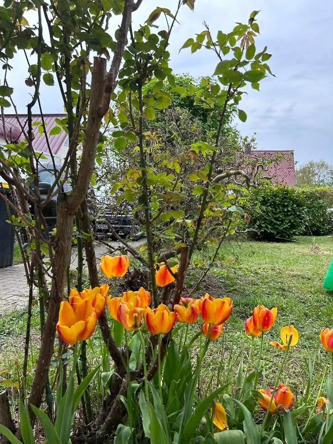 Fewo Michistrasse Forchheim  Tyskland